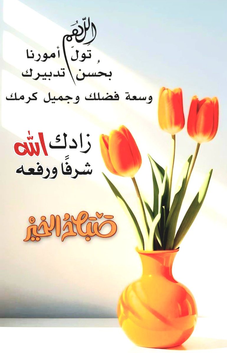Chadi Tima tweet media