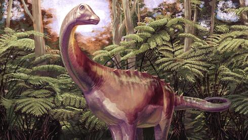 JoopSoesan's tweet photo. Het eerste dinosaurusfossiel van Antarctica onthult een verloren wereld van bossen en gigantische planteneters.
Een wervel die in 1985 op James Ross Island werd ontdekt, werd lange tijd aangezien voor een zeereptiel, totdat onderzoekers vaststelden dat het deel uitmaakte van een titanosaurus die 82 miljoen jaar geleden leefde.
https://t.co/p3JNk9YiQt