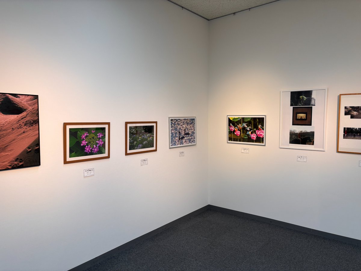 kbunkazaidan's tweet photo. 【展示情報】審査のない自由な展示
「第33回かわさき市民アンデパンダン展」開催中🖼️✨ 公募により集まった10代〜90代の川崎市在住・在勤者等による絵画・写真・書道の作品約260点を展示。
6/30〜7/12（10〜18時）#アートガーデンかわさき にて無料でご覧いただけます。ぜひ会場にお越しください👀✨ https://t.co/ysuL7Y0XAd