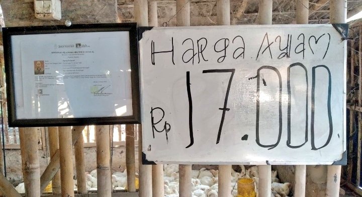 2ndHeiyahoo's tweet photo. Ayam per-kg masih di harga heboh 😂 https://t.co/9YjM8l1oLO