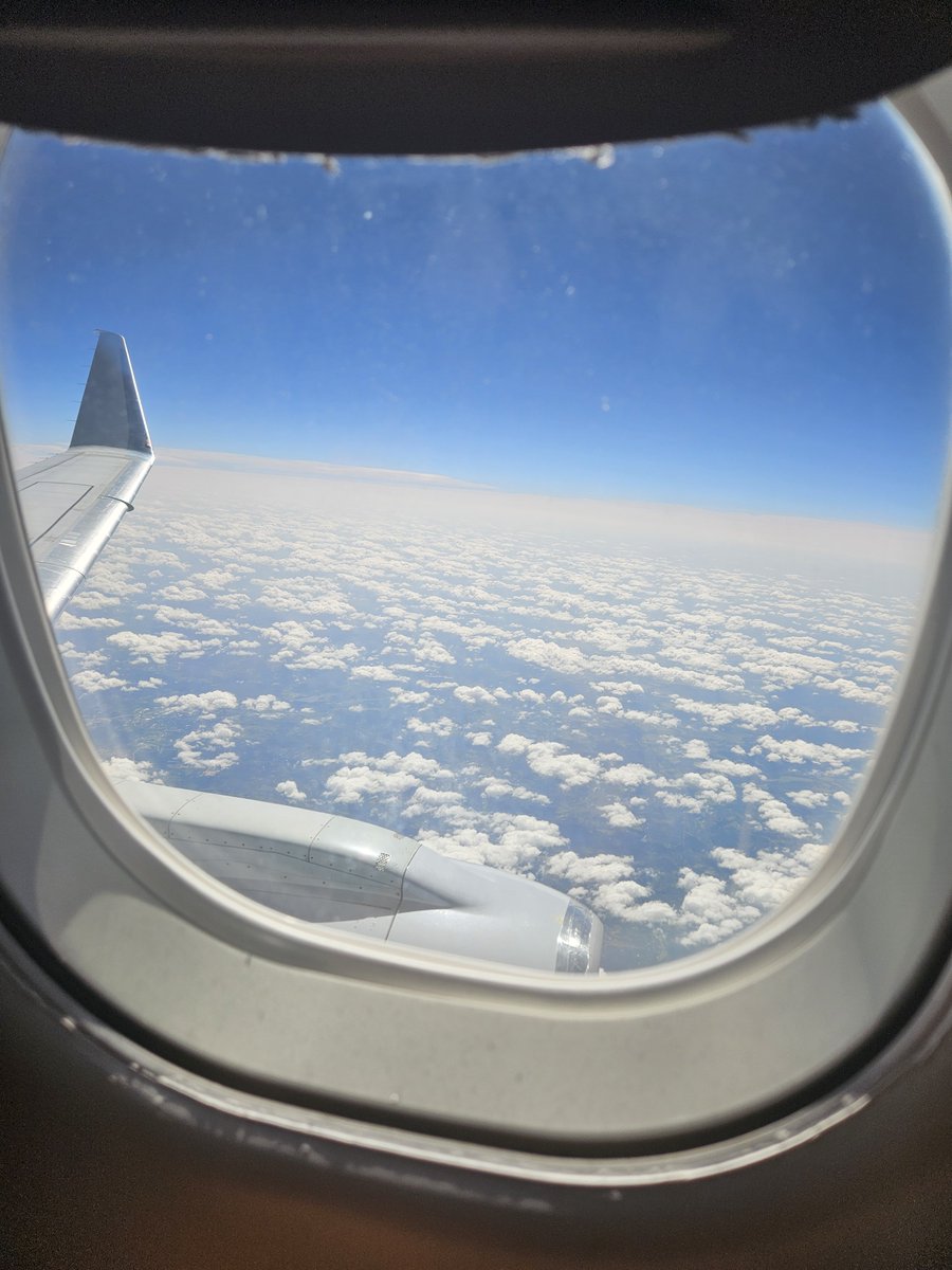 mongopsy's tweet photo. I am no longer able to make music for the next 3 weeks, but uploads have been scheduled

hello dfw https://t.co/lOx1lw6MBn