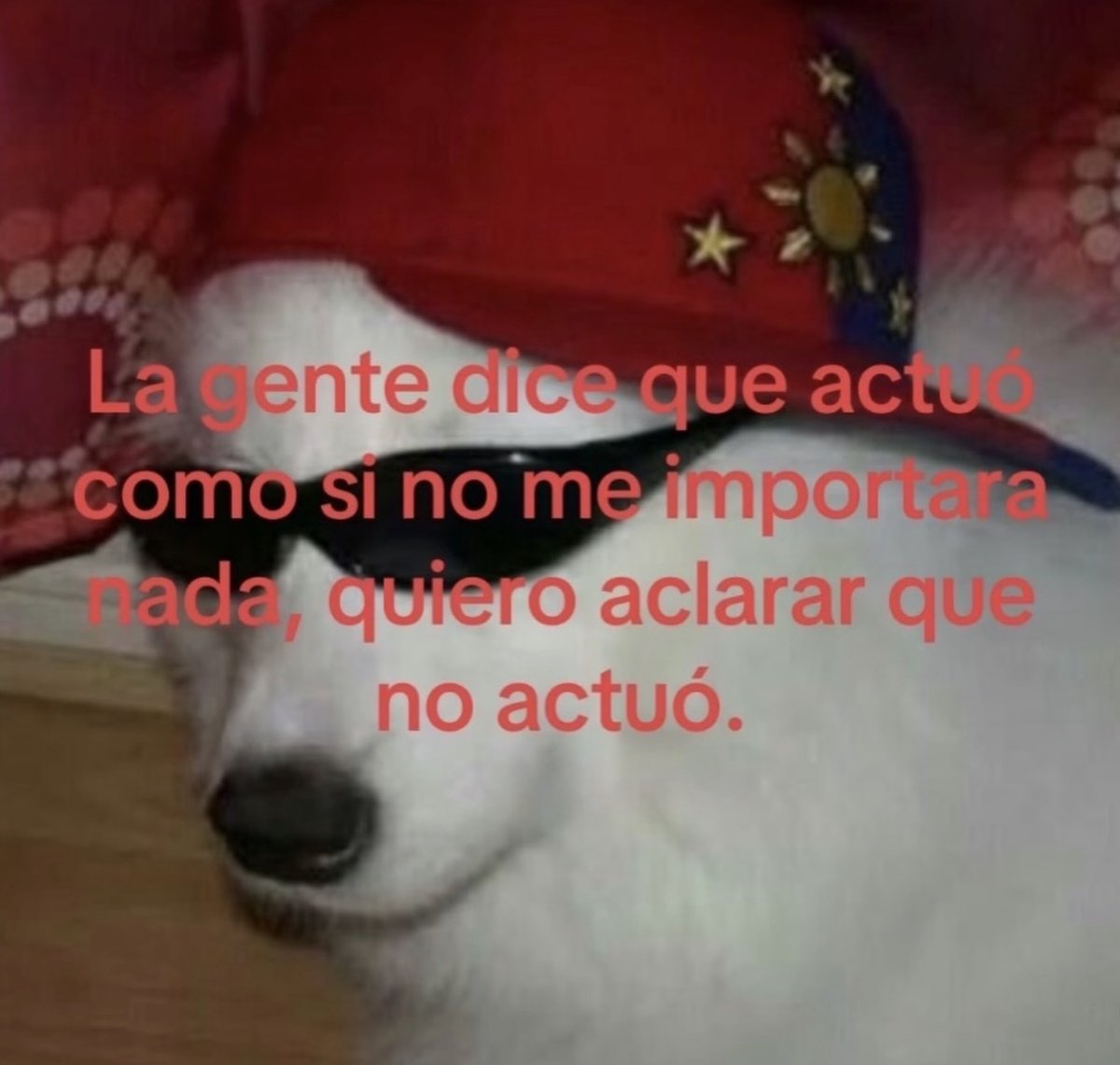 MundoDeBigotes's tweet photo. https://t.co/bb3dFP3HsS