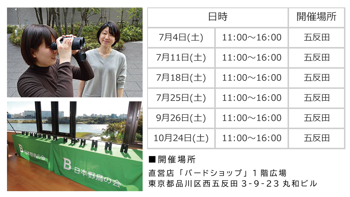 wbsj_tsubame's tweet photo. 7月は毎週、双眼鏡・望遠鏡体験会を開催！
日本野鳥の会がおすすめする双眼鏡や望遠鏡を実際に屋外で使って比べることができる体験会では、双眼鏡や望遠鏡の選び方や使い方など基本的なことから説明いたします。もちろん、のぞいてみるだけでも大歓迎です！
https://t.co/mKlJhLU1eI https://t.co/ntAQu6YN8B