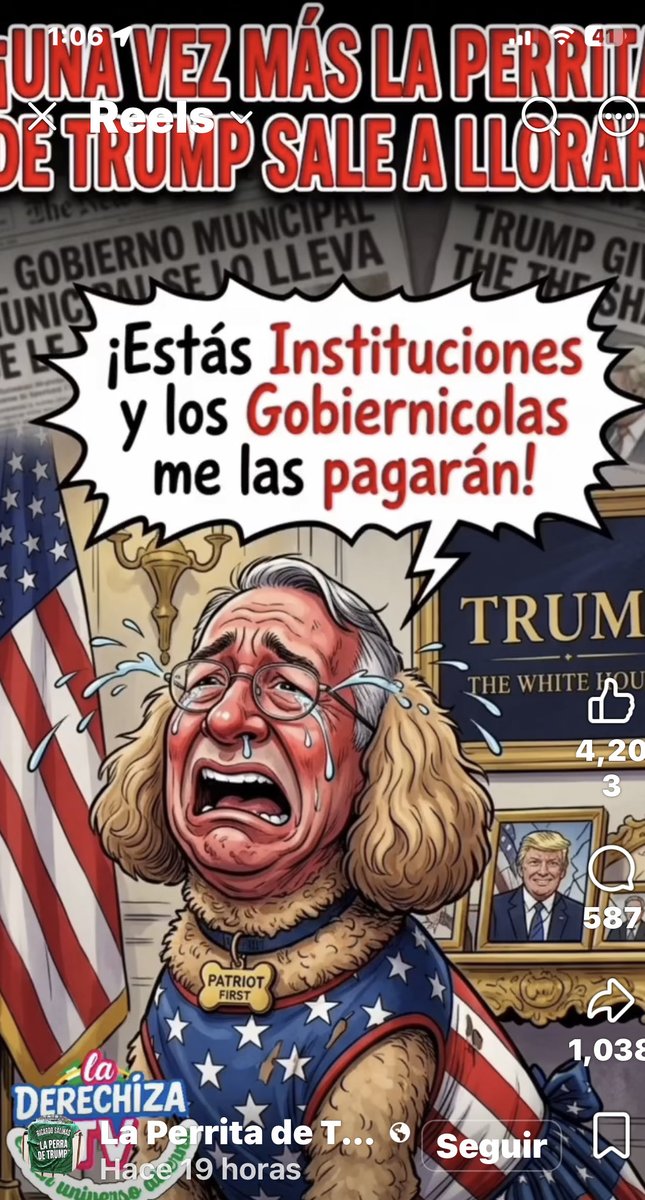 Valentinescarr's tweet photo. @RicardoBSalinas No llores #laperritadetrump https://t.co/brGh5HN2d0