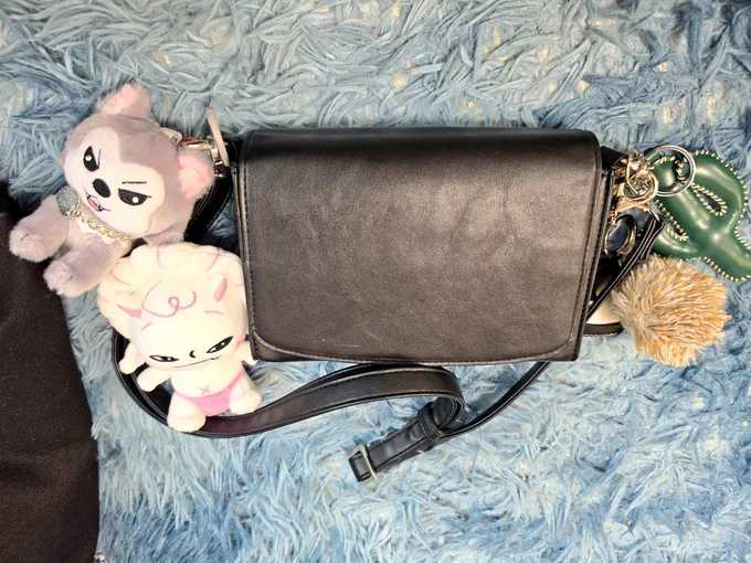 レッスンにタクちゃんカバンそして先日届いた悪魔ちゃんとしゅがるも一緒に来ました 可愛い 練習……やらなきゃね