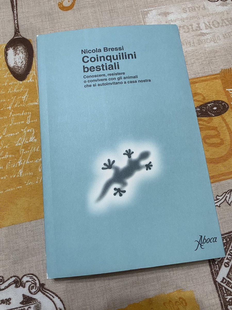 AlessandraPec10's tweet photo. Buongiorno dott.@Nicola_Bressi  ieri scendendo in garage ho fotografato questo ragno(saltatore?) I suoi insegnamenti aiutano.Poi ieri è arrivato il suo libro,ho letto le prime pagine è davvero molto bello,lo consiglio.Grazie sempre per le risposte ai nostri quesiti.un abbraccio https://t.co/pBrI9ptnF1