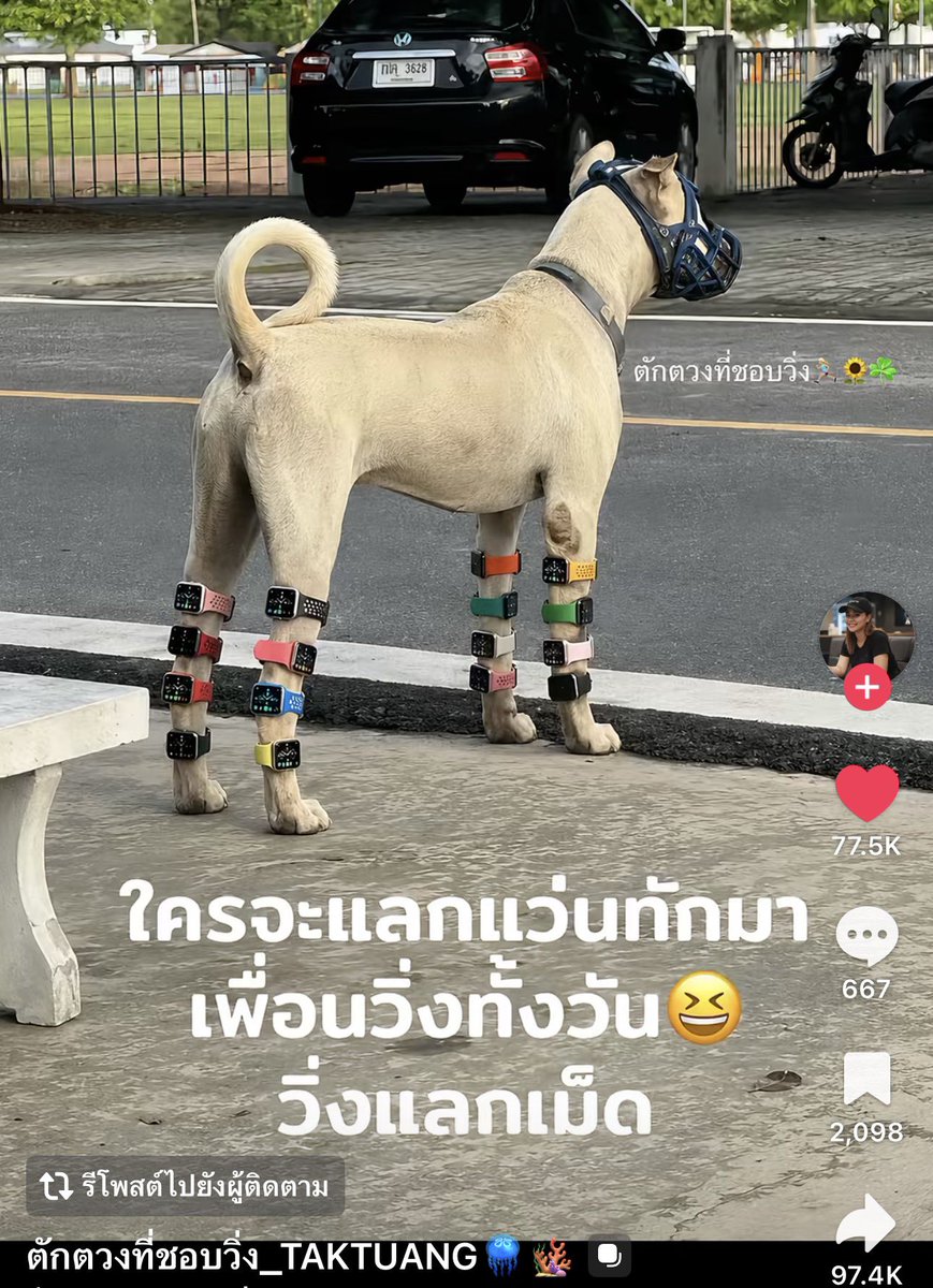 sfkkfs_'s tweet photo. วิ่งแลกเม็ด 55555555555555555 https://t.co/ai2e5B67Qf