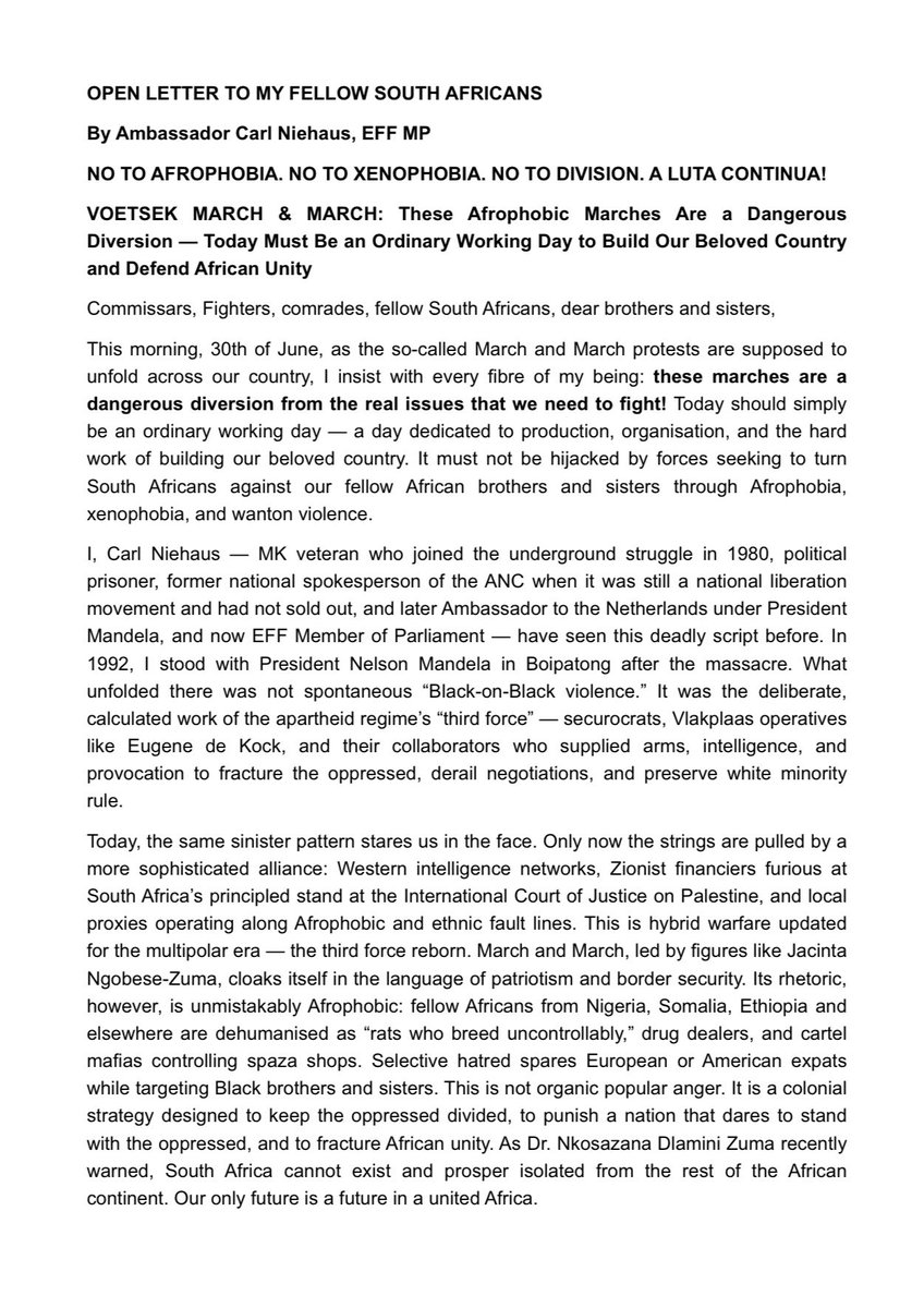 niehaus_carl's tweet photo. Here is the full text of the Open Letter to my fellow South Africans. https://t.co/Li6LvikWfZ