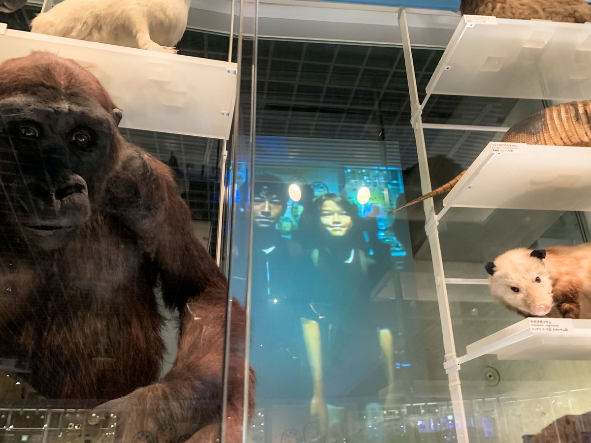 lfitokyo's tweet photo. LES MATHÉMATIQUES AU CŒUR DU VIVANT 🔬🌿
À Ueno, les 5ème A et D du #LFITokyo ont relié maths, biodiversité et sciences lors d’une sortie au musée.
Apprendre autrement. 📐✨
#aefe
@aefeinfo @AEFEAP @ambafrancejp @fltfapee https://t.co/ptvrD0NrJu