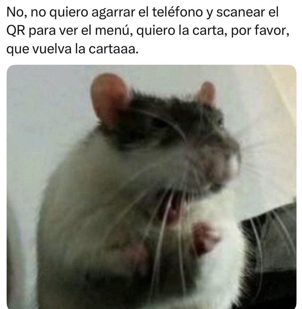 MundoDeBigotes's tweet photo. https://t.co/LDsDv8AZma