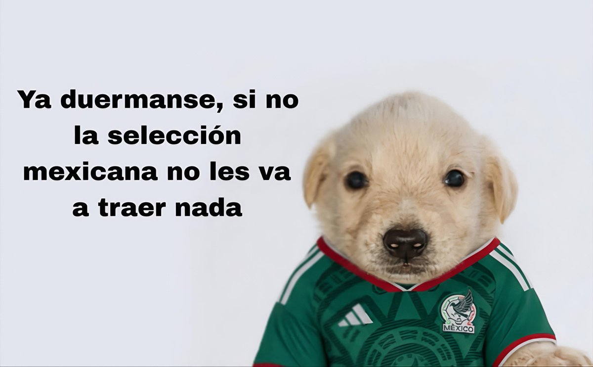 BorrachosVIP's tweet photo. 🇲🇽🫶🏼 https://t.co/Wa3PAzNm9J