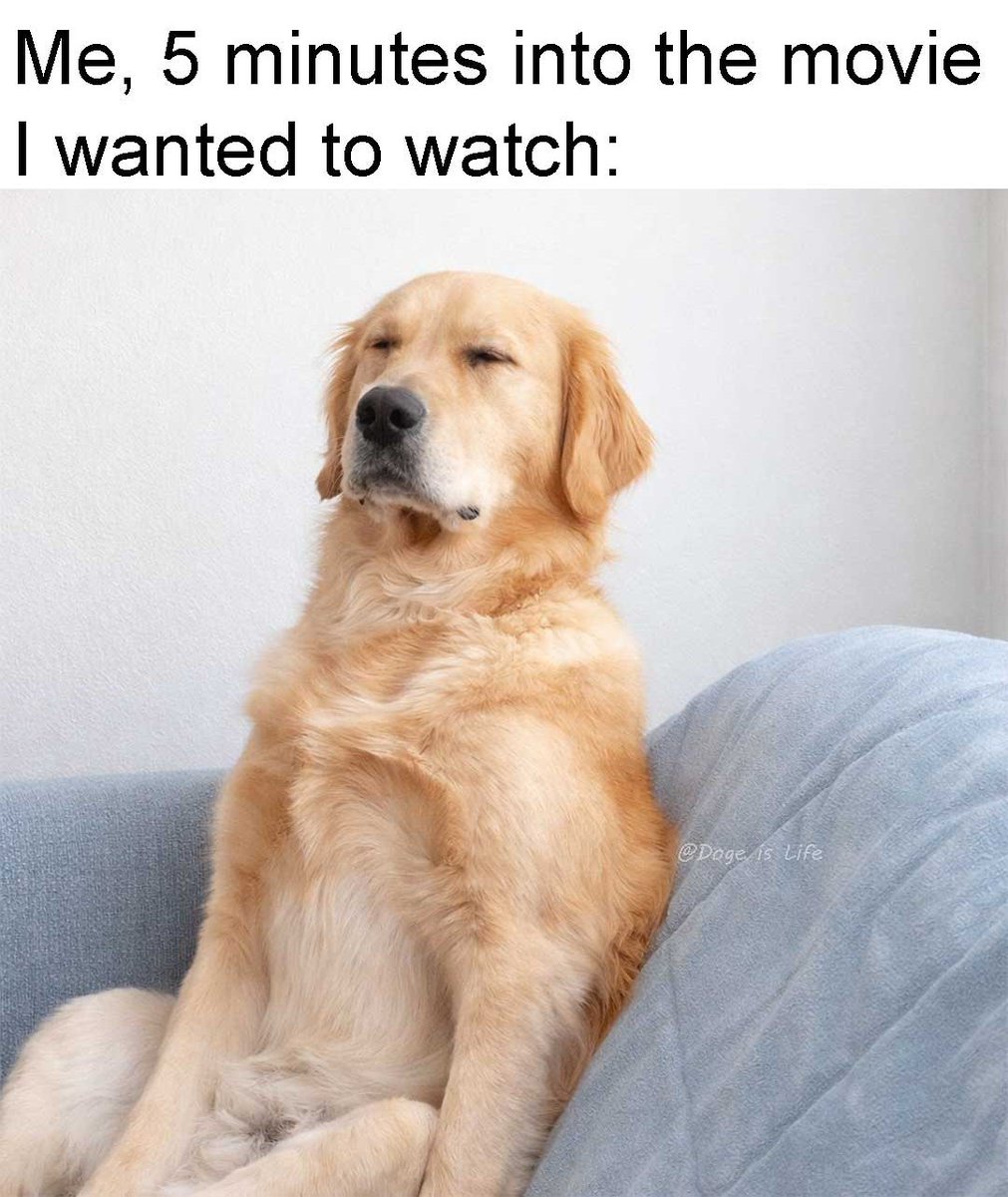 Doge_Is_Life_'s tweet photo. Me every single time I finally sit down to watch 'that one movie'. 😅
#dogmeme #dogmemes #funny #movie #movietime #meme #memes #funnymemes #DogeisLife #doggo #sleepy https://t.co/LT5IGfTNpP
