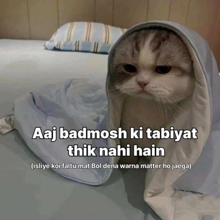 1kiloMemeLelo's tweet photo. Matter hojayega ladle 

#memes #funny #catmemes #dailymemes https://t.co/2XmQ3mBfLZ