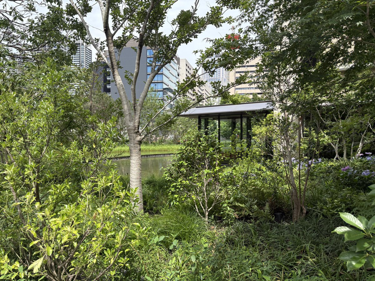 IaMtomok's tweet photo. グラングリーン大阪 THE NORTH RESIDENCE（大阪府）／竹中工務店、日建設計_レジデンス https://t.co/MgGIaBYlZ7