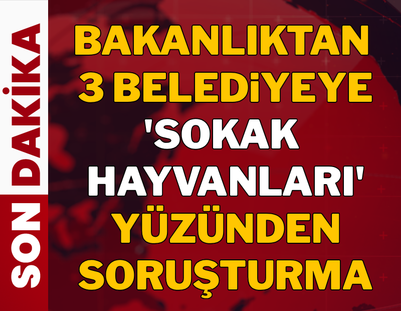 gazetesozcu's tweet photo. #SonDakika İçişleri Bakanlığı, Hilvan, Narman ve Köyceğiz Belediye Başkanları için sokak hayvanlarını gerekçe göstererek soruşturma izni verdi

https://t.co/XGG3gfsudf https://t.co/SOvoiZHh2z