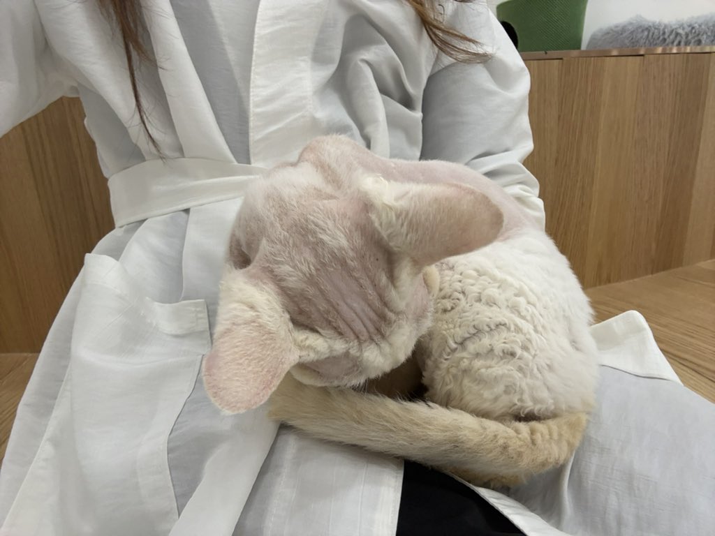 constrickt's tweet photo. This thing is so ugly https://t.co/P1ZYMMbnZl