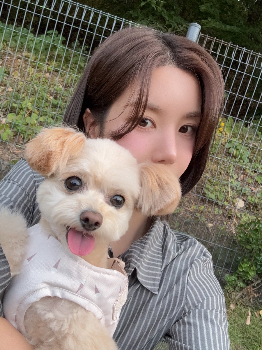 bemesucre's tweet photo. 📸 ᝰ.ᐟ Today is a sweet day, don't you think? So let's share a photo with our little pet.🐶 
And what about you? What is your pet?🐶🐰🐱🐹🐥🐟 https://t.co/tTKnZlB5ji