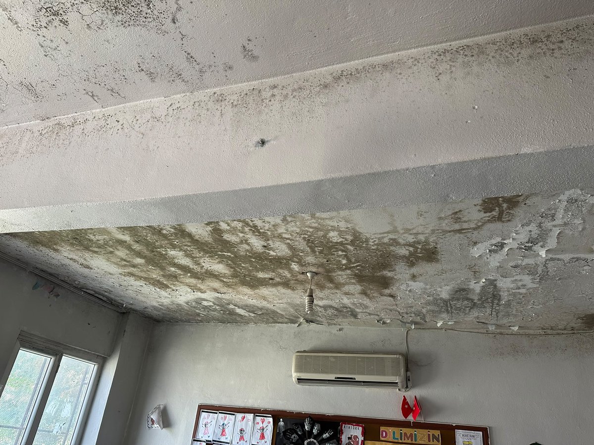 MKaryesi74230's tweet photo. @sayın @Yusuf__Tekin,
Şanlıurfa İli, Eyyübiye İlçesi, Mihraplı Mahallesi’nde acilen ilköğretim okulu yapılmasını bekliyoruz. 
Çocuklarımıza yapacağımız en büyük iyilik sağlıklı eğitim ortamı sağlamaktır. 
@tcmeb https://t.co/tofzXpmxpy
