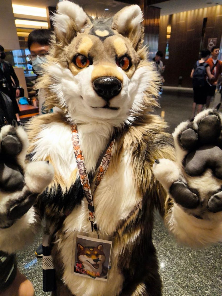 kizuna_shiba's tweet photo. Photography by the amazing Maro https://t.co/JOsg2uQSOI