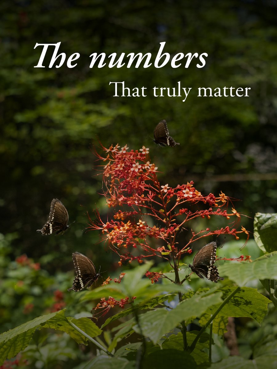 CGH_Earth's tweet photo. At CGH Earth, we don't celebrate what we measure. We celebrate what you choose to stop measuring. That's the only statistic that matters.

 #MeAndCGHEarth #CGHEarth #ResposnibleTravel #SustainableTravel https://t.co/CVwmx1RIsE