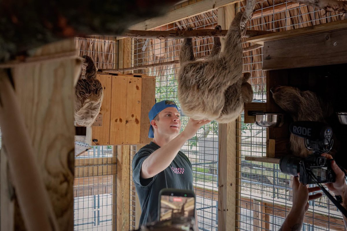 Mattcomedy41's tweet photo. If you know me, you know this was pure happiness. π₯Ή
Sorry, kidsβ¦ this moment still takes the crown. β€οΈ
Big love to Animal EDventure Park & Safari for giving these beautiful animals a safe and loving home.
#mattrife #otters #animals #animalrescue https://t.co/zLkCAApC4x