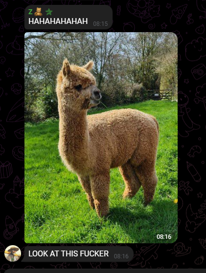 exitliquid1ty's tweet photo. . @blknoiz06 LOVES THE ALPACAS

BULLISH

AE7gr74vQqdYhMEGQCdZRZjHn5TovkCJbWwirgDkpump https://t.co/WvYHkQejRC