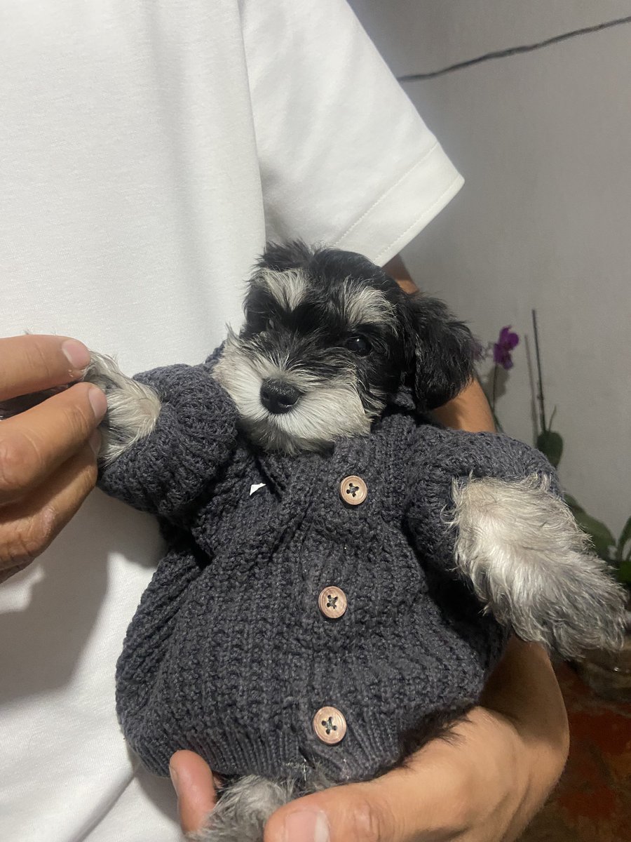 denbubblee's tweet photo. el amor de mi vida abrazando al amor de mi vida https://t.co/swp0fVKYxf