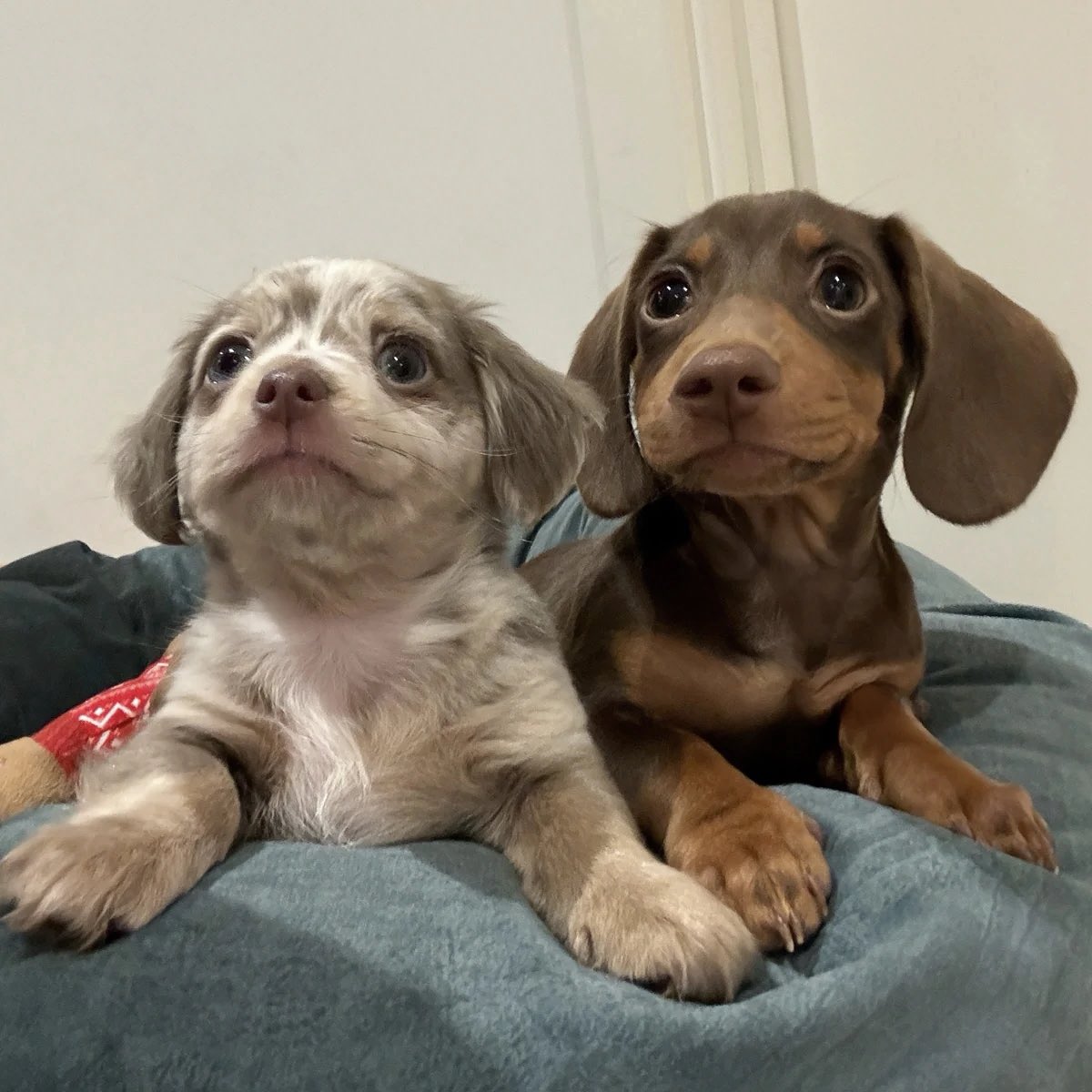 twaniimals's tweet photo. https://t.co/ruxyxcxgym
