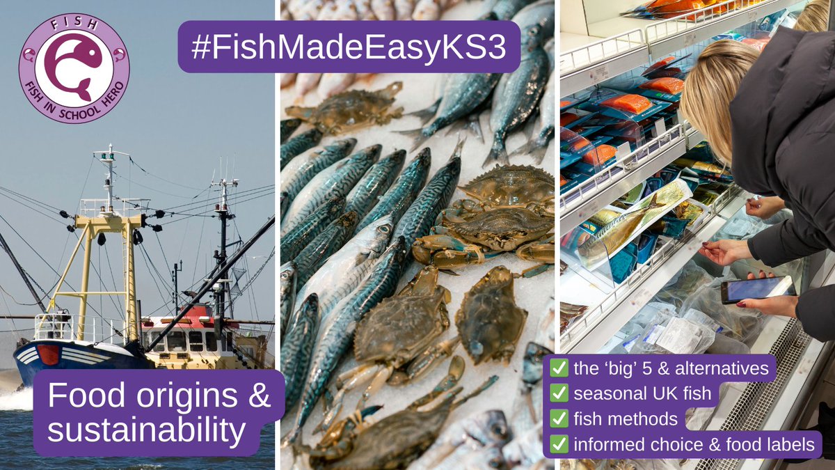 HeroesFish's tweet photo. Fish supports teaching about food origins & sustainability, important parts of #FoodEd - does your curriculum?
#FishHeroes provide real life examples, inc fish type, fishing methods, & food labels.
#FishMadeEasyKS3 - improve your #FoodEd curriculum⤵️
https://t.co/nV5RBptK5R https://t.co/94jbwZgGHg