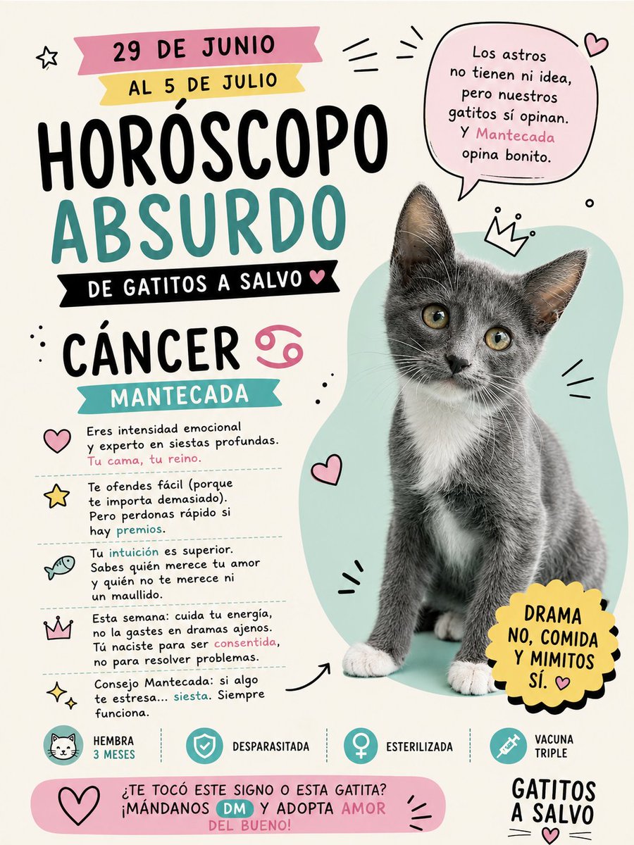 gatitosasalvo tweet picture