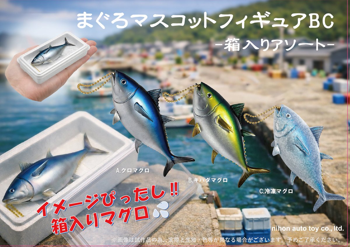 auto_toy's tweet photo. ちょ～リアル‼️な
まぐろのキーホルダーが、
まさかの箱入りで参戦⁉️✨

【まぐろマスコットフィギュアBC-箱入りアソート-】、
絶賛好評販売中‼️🐟
まぐろの仲間たちが大集合です✨

今にも動き出しそうな新鮮まぐろを
身に着けてみてはいかが⁉️💕

#日本オート玩具 
#アミューズメント
#pado郡山 https://t.co/Oiq6M7kmwk