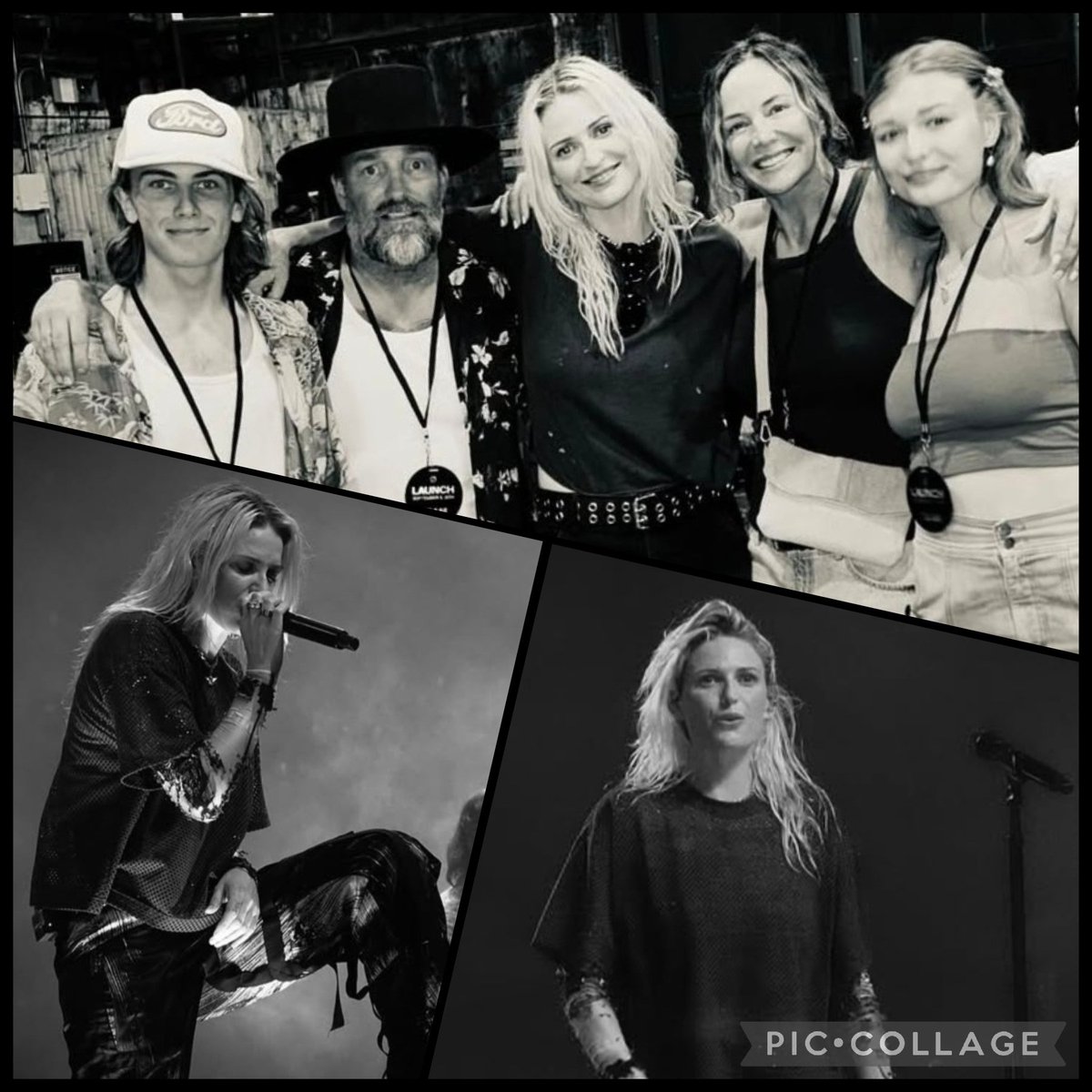 Dead Sara _ For you I am tweet media