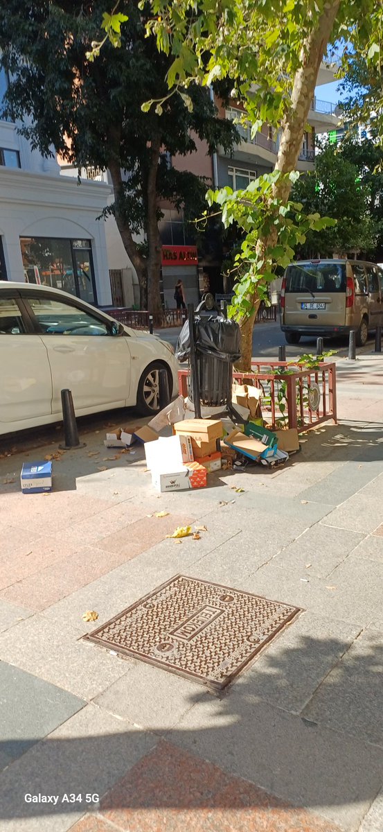 Dry1903Dry's tweet photo. Bunlarda  bu sabah çektiklerim, hic afres kapı numarasi sormayın  hemen hemen her ensnafın ve apartmanın önündeki guzelim asırlık çınarlarım dibi böyle.. yazıklar olsun @komsuiletisim @kartalbld @gokhanyukselist https://t.co/wDMyMQRIBs