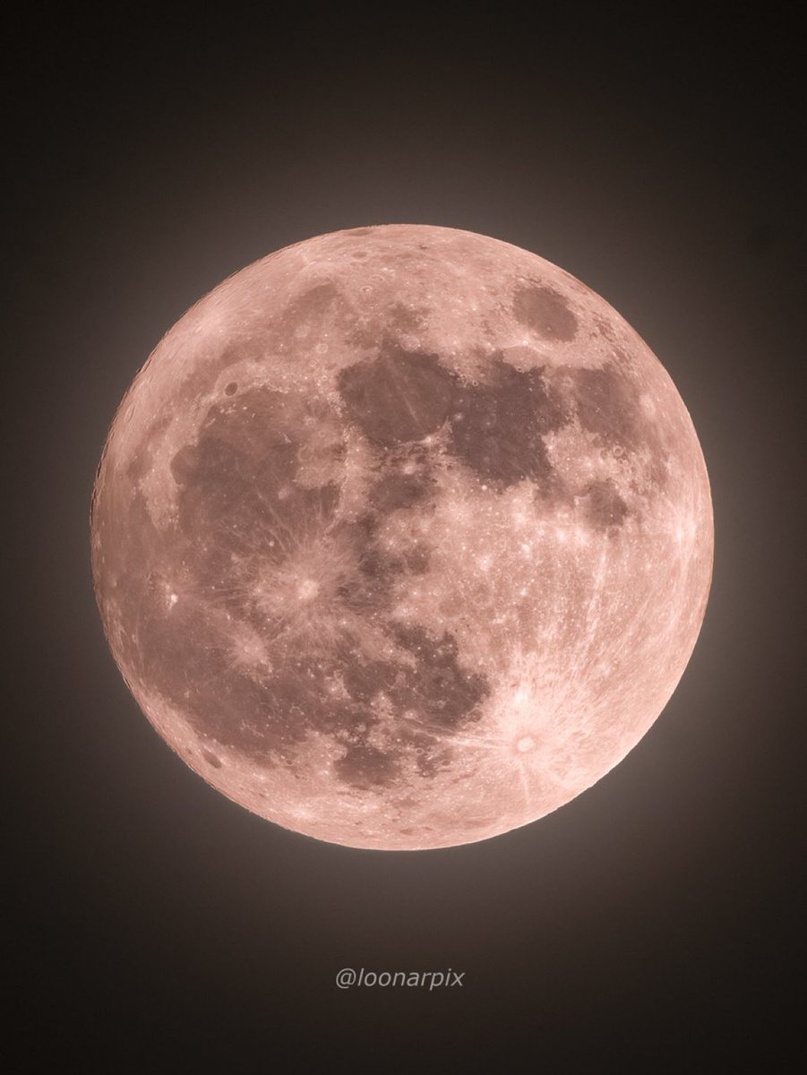 M1ONLOVER's tweet photo. Tonight’s Full Strawberry Moon https://t.co/NhgWhc5Lwr