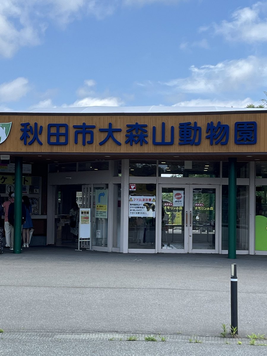 torakomimi1's tweet photo. #秋田市大森山動物園
2026-6-28

やはり初めての大森山動物園。
園外に⚠️クマ出没注意⚠️の警告表示がありましたが、園内のクマ舎ではツキノワグマがお昼寝中🐻💤 https://t.co/6Nebuf1Lw5