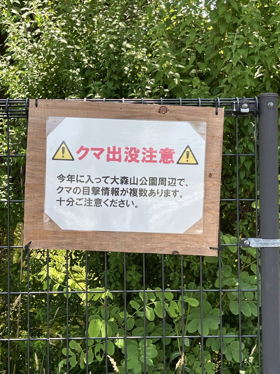 torakomimi1's tweet photo. #秋田市大森山動物園
2026-6-28

やはり初めての大森山動物園。
園外に⚠️クマ出没注意⚠️の警告表示がありましたが、園内のクマ舎ではツキノワグマがお昼寝中🐻💤 https://t.co/6Nebuf1Lw5