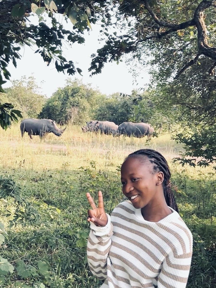 EnickAsingya's tweet photo. We’re not giving enough credit for what a blessing it is to have rhinos back in our national parks. I’m so in awe and excited that some of us will actually get to experience it. https://t.co/pn4jkJppM5