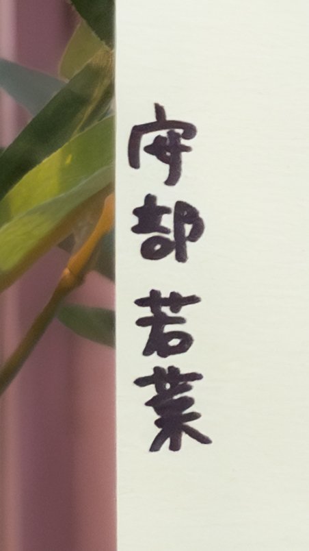 _132611's tweet photo. 安部若菜フォントのかわいいところ

うかんむり
うに
塗りつぶすところ逆の方が良さそう https://t.co/aSrEdgU5x8