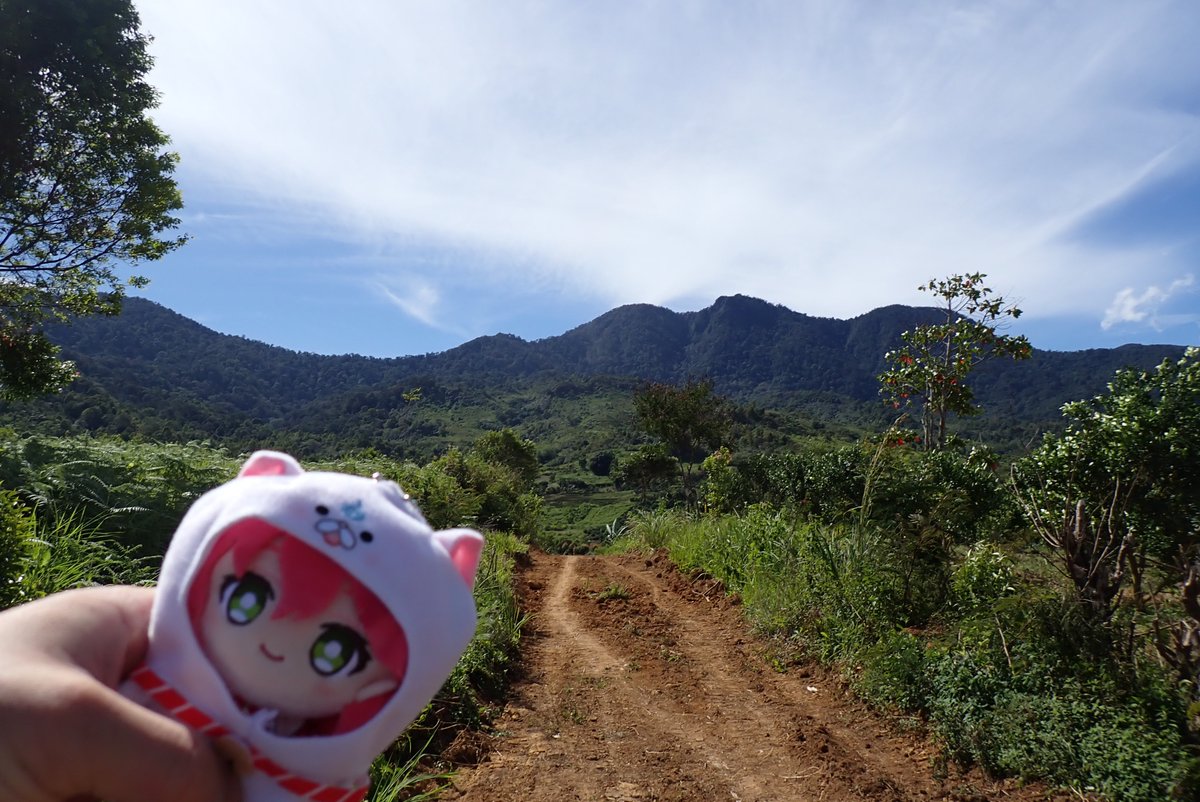 前方の山の向こうの山の向こう側まで歩いて行ったガチなジャングル登山