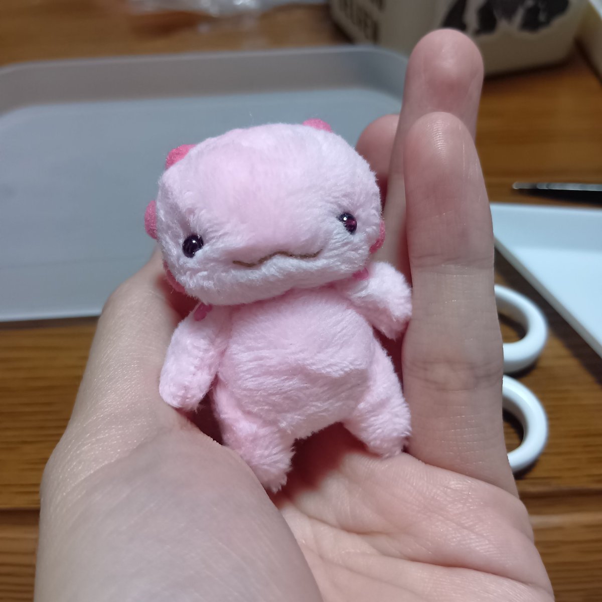 77ss831's tweet photo. にっこにこが生まれたよ https://t.co/8PysHrGiX1