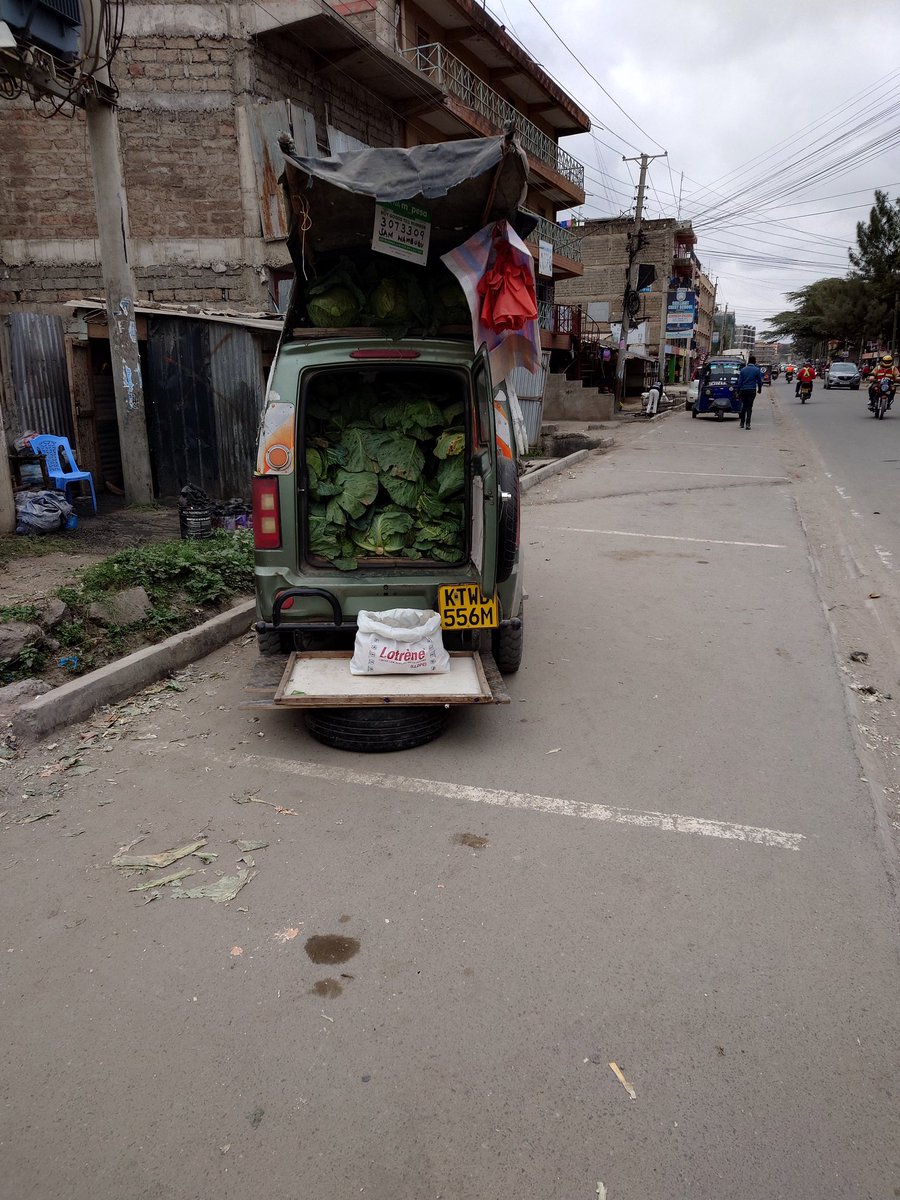 RaisDeclan's tweet photo. Guess how many cabbages @Earlsimxx https://t.co/oJfweWkXjT