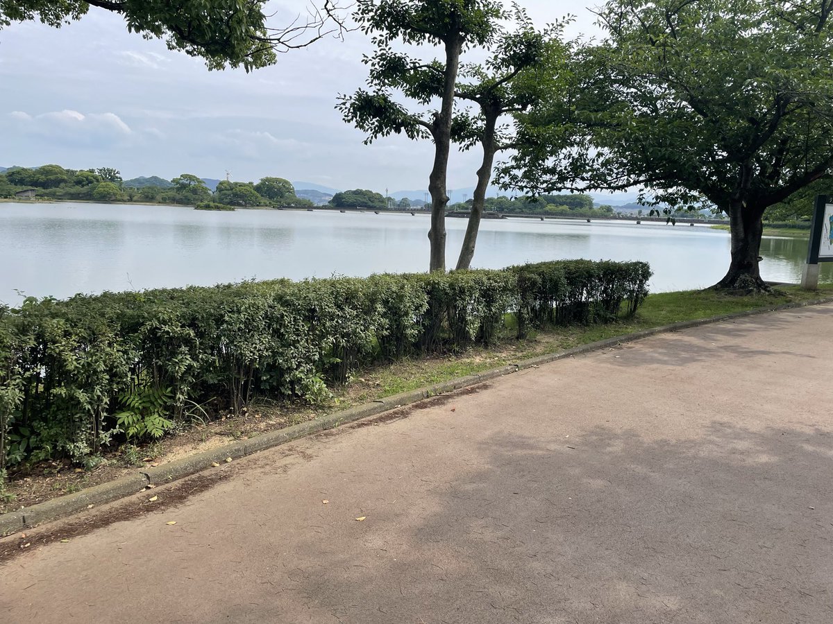sisedq's tweet photo. 実はあれからずっと謎のウイルス（咳）が完治してなかったんよねー
やっと治った？ぽいから今日からまた
2キロのランニング行ってきたー https://t.co/co0Qvu710s