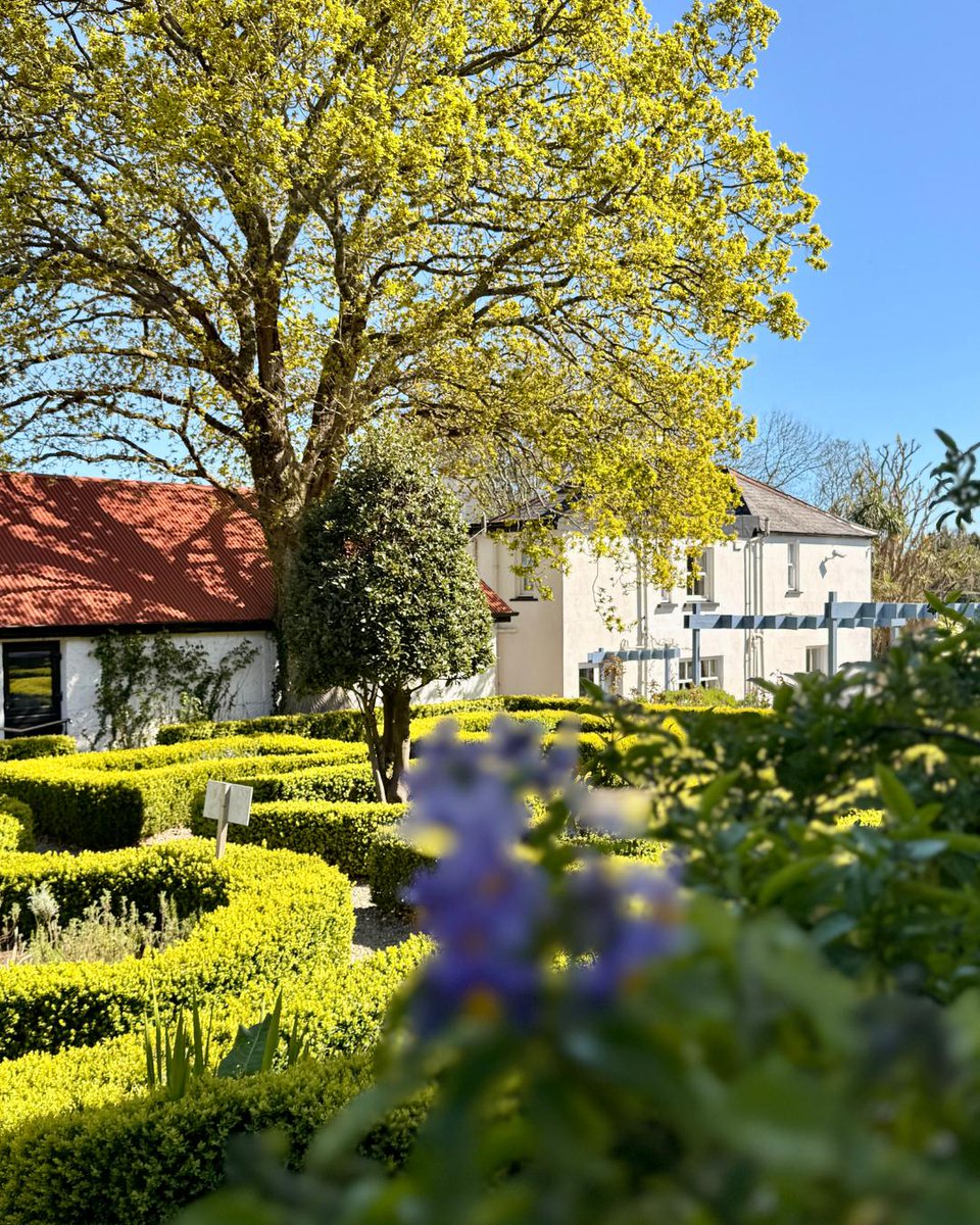BallyknockenHCS's tweet photo. Stay with us 🌿 Cook with us 🍽️ Embrace the countryside 🌳

Wake up to peaceful countryside views, learn new skills in our cookery school, wander through the gardens, and meet our friendly sheep along the way 👉 https://t.co/uZfCUefXyR

#CountryEscape https://t.co/IBVA9lVhAu