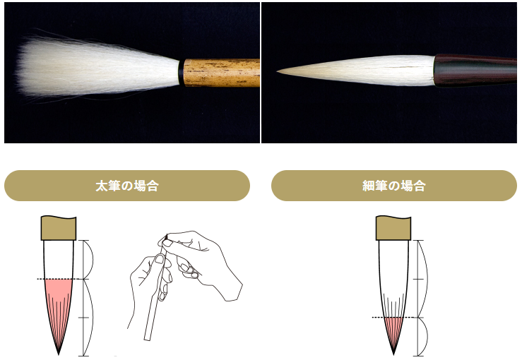hiromaya_art's tweet photo. 日本画を学んでいた者だけど、筆が「ばらける」のは当然で、穂の糊が抜けて本来の形に戻るから。

面相筆など細筆は、穂を全部は「下ろさない」前提の筆。
丸洗いして乾かすと穂全体の糊が抜けるので、先がばらけるのは当然の結果と言える。

筆は製造段階で弱めの糊で穂先を固め、シュッと尖って見えるように意図的に癖づけされている。
使い続けるうちに糊が少しずつ抜けて、その人工的な癖が失われていく。
その結果、筆は本来の毛並みと開き方に戻り、「ばらけてきた」ように見える。

模型塗装などで使用したあとに筆を丸洗いすると、残っていた糊はほぼ完全に落ちる。
そして筆が素の構造に戻ったからだと考えられる。

本来、筆が「絵を描くための筆」として作られるようになったのは明治以降で、それ以前の絵師は書道筆を自分用にカスタマイズして使っていた。

そのため、絵筆自体は書道筆とほぼ同じ構造。

もっとも、絵筆は丸洗いしがちなので、できるだけ素の状態でもコシがあって先が尖るように毛を選別されている。

でも前提として、書道の経験があるならわかると思うけど、筆は根元を固めて使うもの。

ばらけた筆は、自分で再び糊固めを行い、根元から中ほどにかけて腰を作り直したうえで、穂先だけをほぐして使うといい。

筆のこういった前提を忘れてしまうと、道具の本来ある能力が発揮できなくなる。