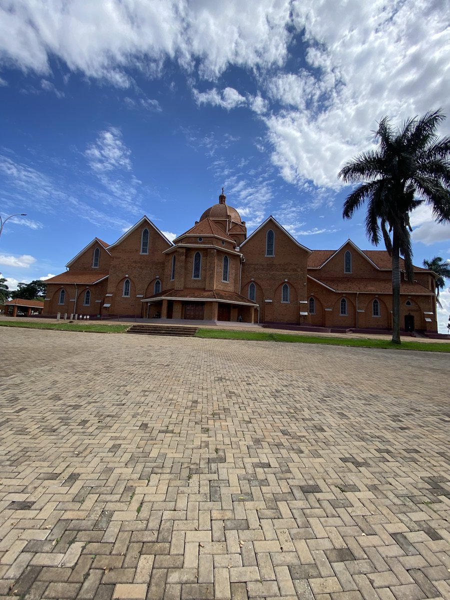 AlpsSafaris's tweet photo. Only located in the Pearl of Africa 🫶 https://t.co/6shGXcWfxr