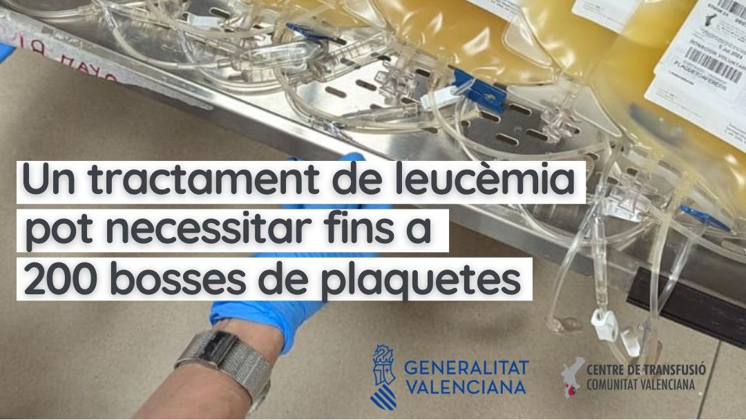 GVAdonasang's tweet photo. Las #plaquetas son fundamentales en los tratamientos de oncología.    
💢Una dosis de tratamiento para un adulto requiere 4 donaciones convencionales, en la donación por #aféresis la obtenemos de un solo donante.  
🔗https://t.co/rBFc7xo6iN 

#infodonación #Infodonación https://t.co/dOC3nXrLp1