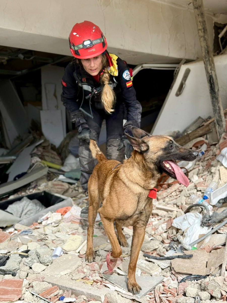 ESDP_esp's tweet photo. "No paramos. Humedad y hoy mucho calor. Seguimos, siempre hacia adelante y con más fuerza que nunca."
Los guías caninos y perros de la ESDP, integrados en el #ERICAM de @112cmadrid, continuamos realizando búsquedas en las zonas más afectadas de #Venezuela.
#VenezuelaNoEstáSola https://t.co/AVLbTKicsO