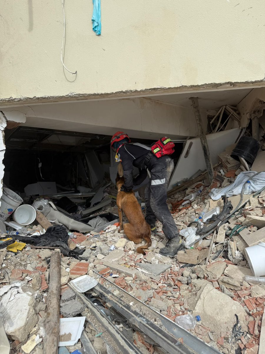 ESDP_esp's tweet photo. "No paramos. Humedad y hoy mucho calor. Seguimos, siempre hacia adelante y con más fuerza que nunca."
Los guías caninos y perros de la ESDP, integrados en el #ERICAM de @112cmadrid, continuamos realizando búsquedas en las zonas más afectadas de #Venezuela.
#VenezuelaNoEstáSola https://t.co/AVLbTKicsO