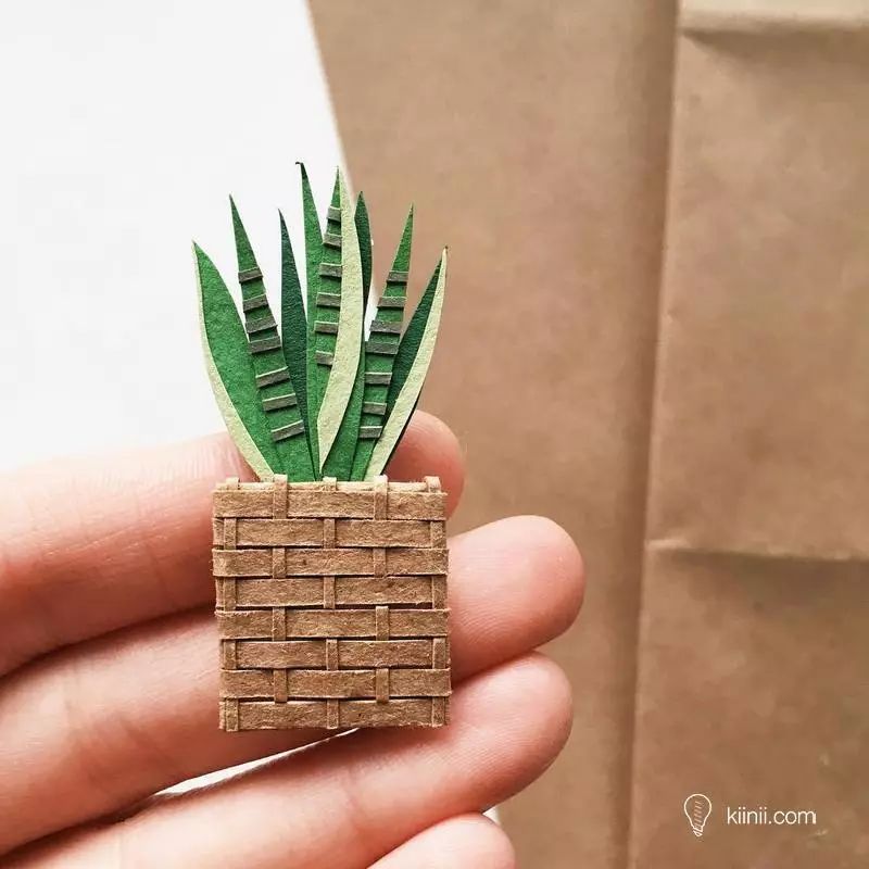 blackstar7747's tweet photo. DIY paper flower wall decor in 10 mins! Perfect for sprucing up a plain room  #HandmadeHobby， https://t.co/gV34V27Syn
