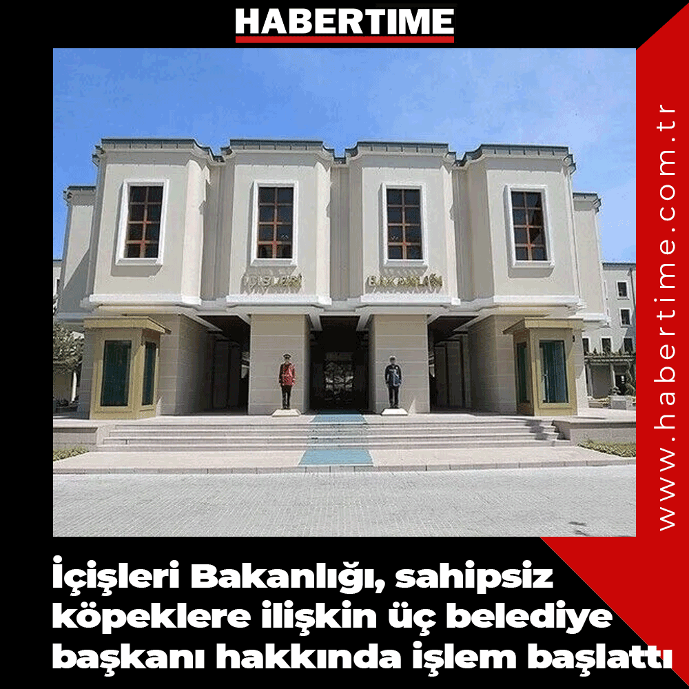 habertimecomtr's tweet photo. İçişleri Bakanlığı, sahipsiz köpeklere ilişkin üç belediye başkanı hakkında işlem başlattı
https://t.co/eOyVpCHCnd https://t.co/xTEyTuSMO9